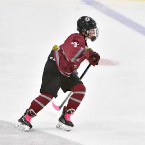 boston-junior-penguins-2012-penguins-roster-boston-junior-penguins