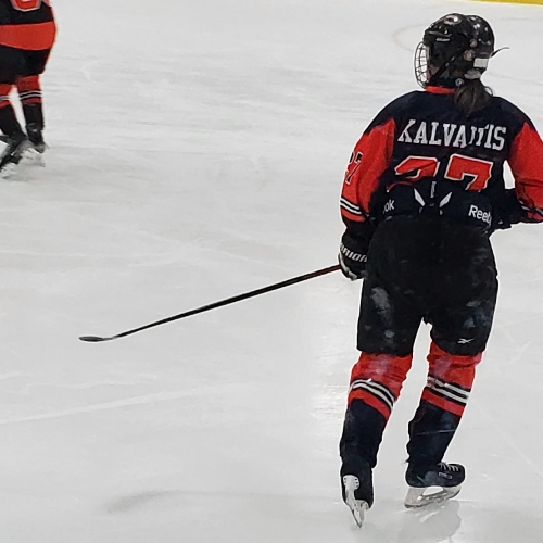 Chazy Youth Hockey Chazy 12U Peewee Selects Roster Regular Season