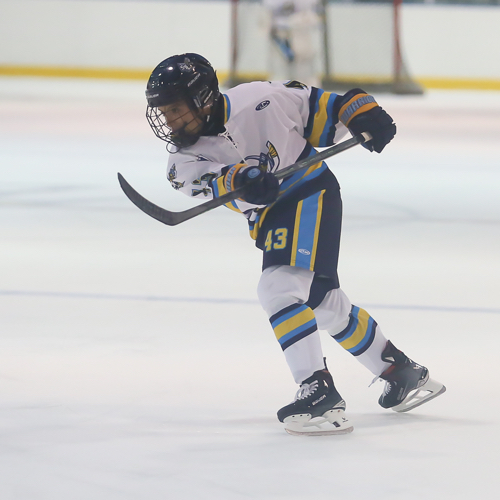 Carshield AAA Hockey SPRING12u (2012) Roster SPRING PROGRAM 2024