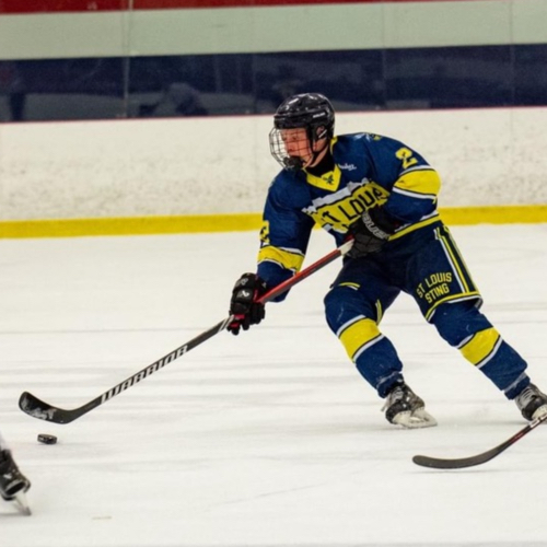 Jackson Ruf Twin Bridges Hockey | 18u Central States Prospects Roster | 18u ...