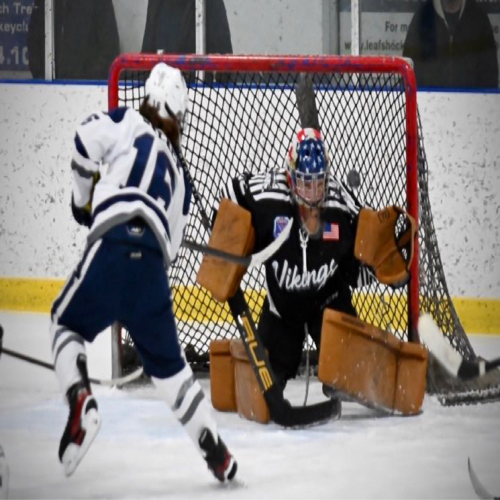 Wilmette Jr. Trevians Hockey Spring Pee Wee Major 2012 Roster