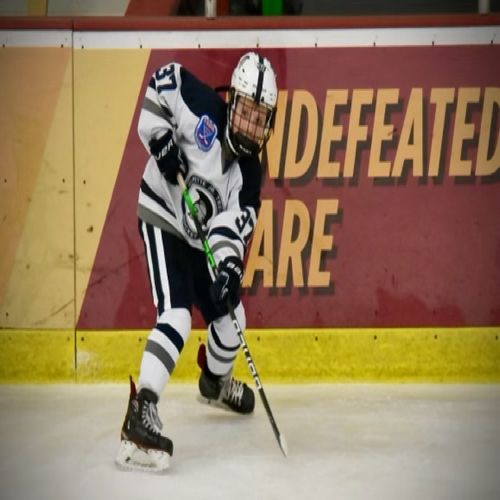 Wilmette Jr. Trevians Hockey Spring Pee Wee Major 2012 Roster