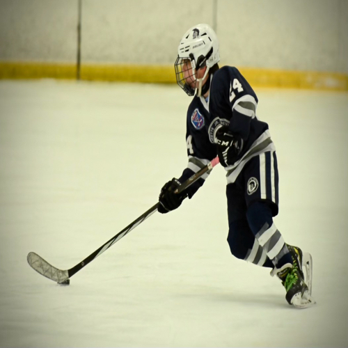 Wilmette Jr. Trevians Hockey Spring Pee Wee Major 2012 Roster