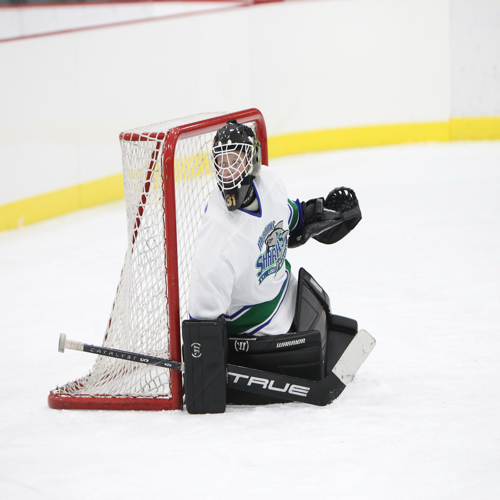 Carshield AAA Hockey SPRING9U (2015) Roster SPRING PROGRAM 2024