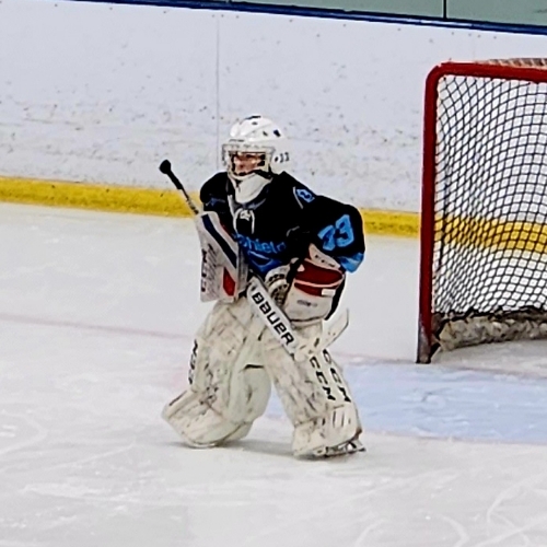 Carshield AAA Hockey 12U Roster Pee Wee Registration 20232024