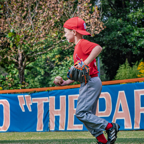 Oak Park Youth Baseball and Softball Riley's Heating and Cooling