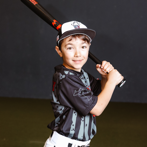 Lakeshore Youth Baseball And Softball Association 12U Baseball