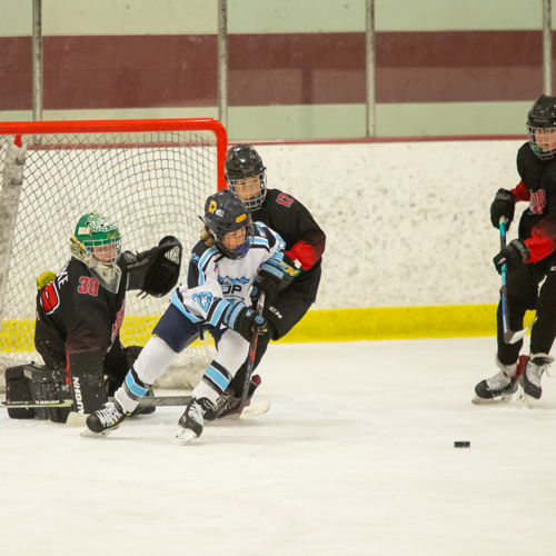 Wayzata Lacrosse Association | Wayzata 12U Box Roster | Box League ...
