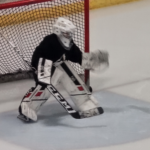 Fraser Valley Lacrosse Club FVLC 56 White Roster 2024 Spring AYL