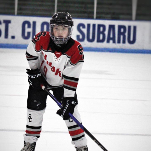 2013 Elite Roster | Hometown Hockey