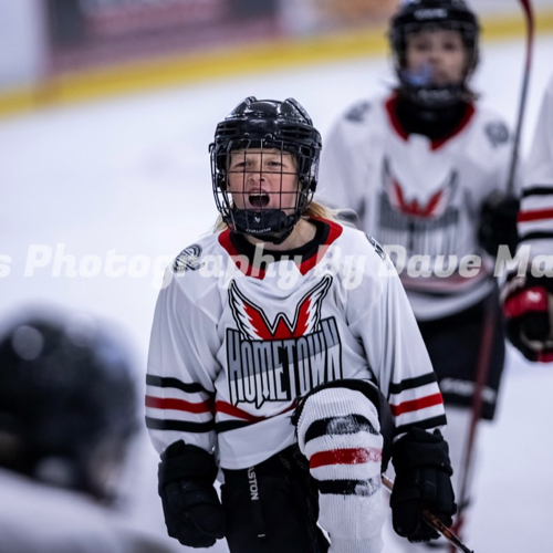 2013 Elite Roster | Hometown Hockey