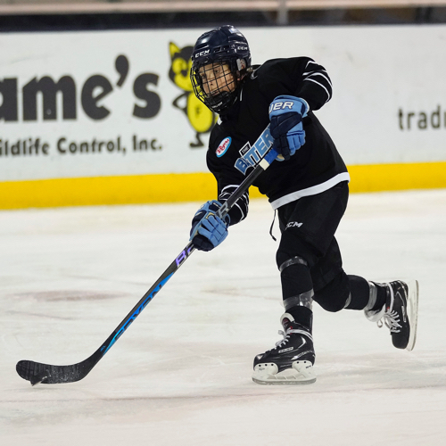 Ohio AAA Blue Jackets 10U (2014) Roster AAA Boys 202425