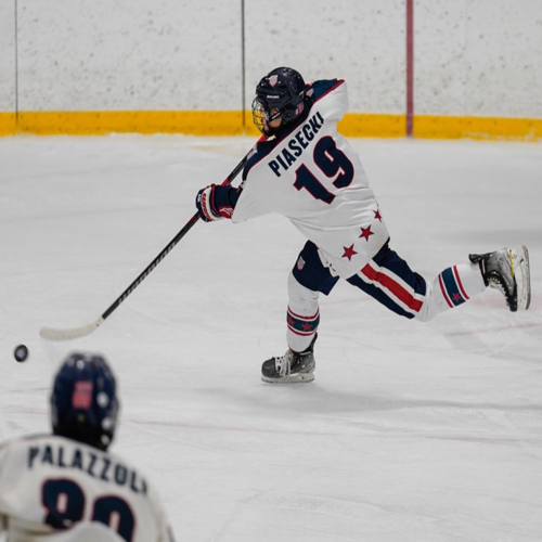 Carshield AAA Hockey SPRING18u (2006/2007) Roster SPRING PROGRAM