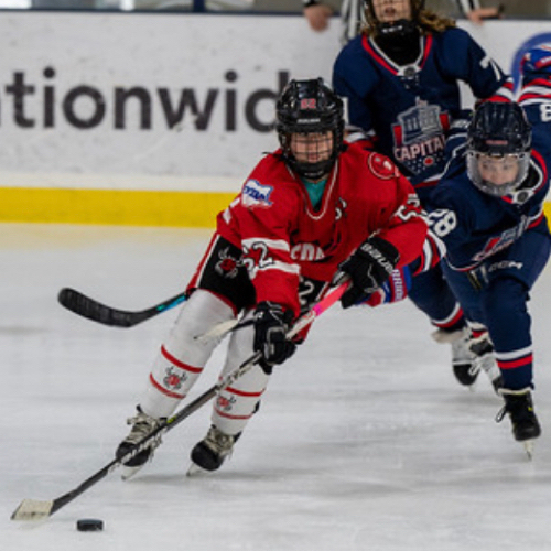 Ohio aaa blue jackets 14u girls 2009 10 roster aaa girls 2023 24