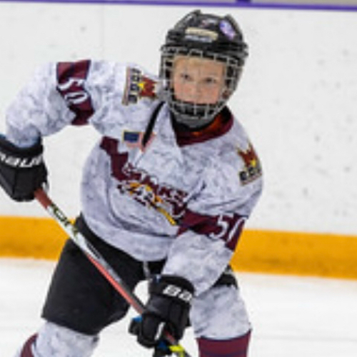 Southern Illinois Ice Hawks | 12u A2 Waters Roster | Fall Hockey Season ...