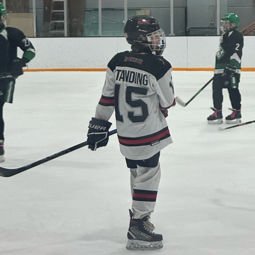 Edendale Rockets U13 AA Red Roster | Rockets Hockey Club