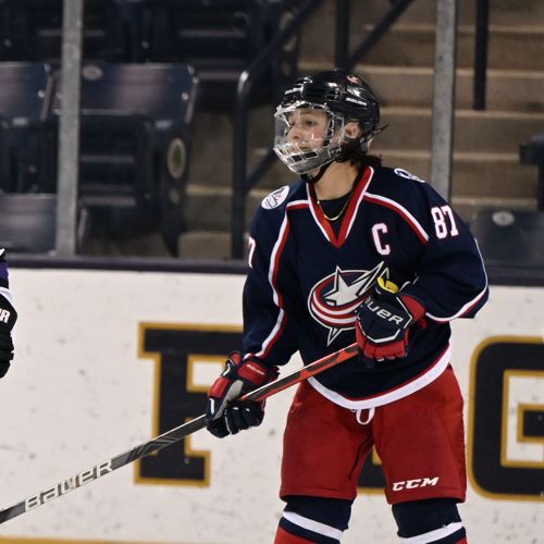 Dublin High School Hockey Association Dublin Comets Roster Dublin