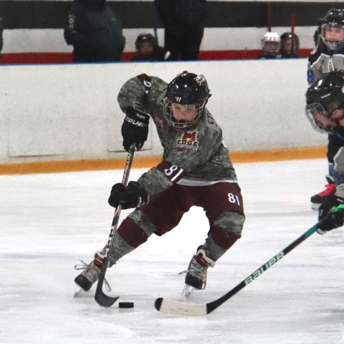 Southern Illinois Ice Hawks | 12u A2 Waters Roster | Fall Hockey Season ...