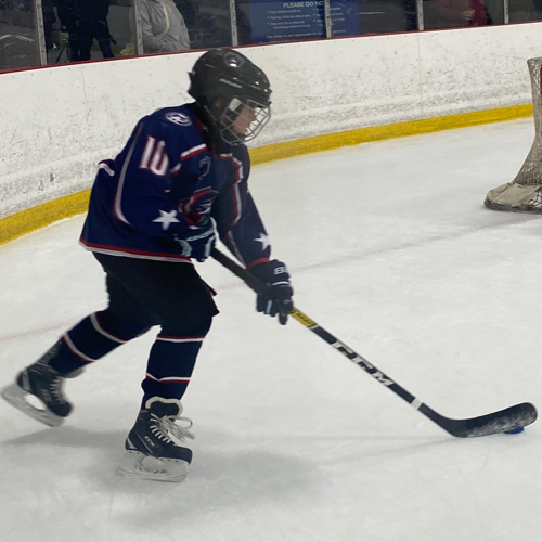 Capital Amateur Hockey Association 8U Tournament Team White Roster