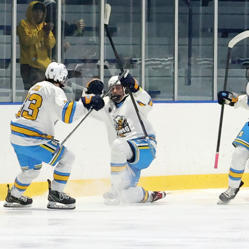 Carshield AAA Hockey SPRING18u (2006/2007) Roster SPRING PROGRAM