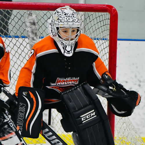 Hyland Hills Jaguars PeeWee A Roster Competitive Hockey 202324 Season 10U16U