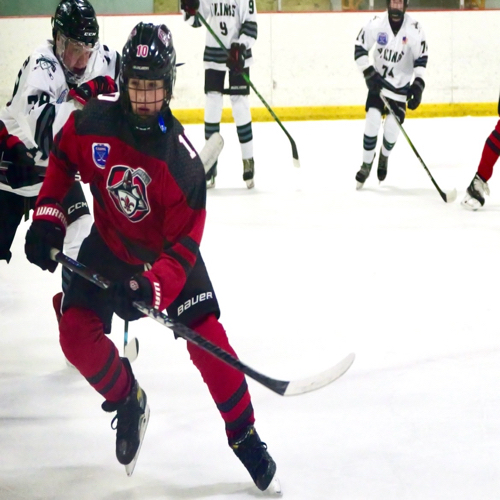 Carshield AAA Hockey SPRING14u (2010) Roster SPRING PROGRAM 2024