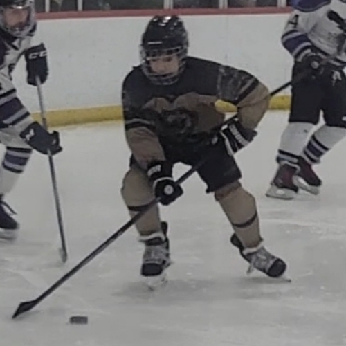 Midland Amateur Hockey League | 14U Midland Spring Roster | 2026 Spring ...