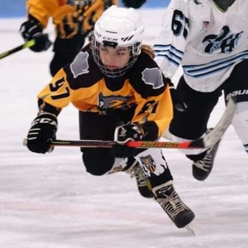 New Richmond Youth Hockey Association | Squirt C Roster | Squirts ...