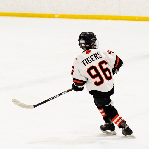 New Richmond Youth Hockey Association | Squirt A Roster | Squirts ...