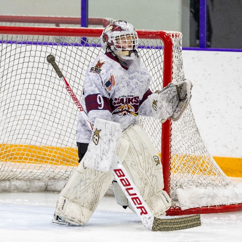 Southern Illinois Ice Hawks | 12u A2 Waters Roster | Fall Hockey Season ...