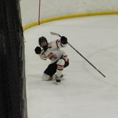 Hyland Hills Jaguars 16U AA Roster Competitive Hockey 202425 Competitive Hockey