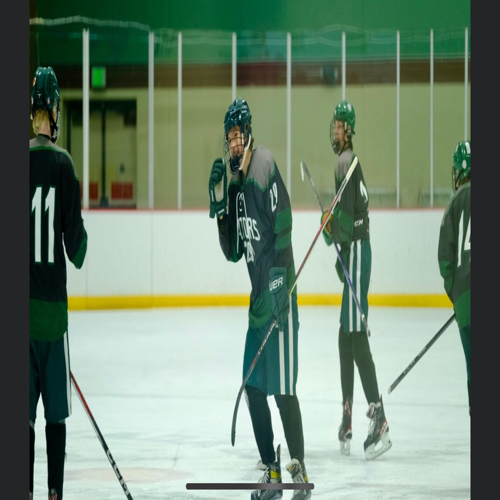 Hyland Hills Jaguars Bantam A Roster Competitive Hockey 202223 Season 10U 14U