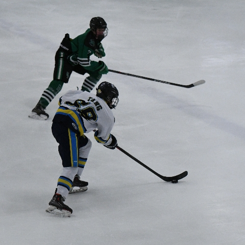 Carshield AAA Hockey 15O Roster 15O Midget 20242025