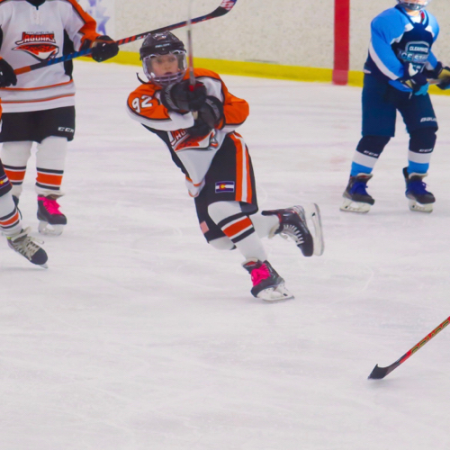 Hyland Hills Jaguars PeeWee AA Roster Competitive Hockey 202324 Season 10U16U