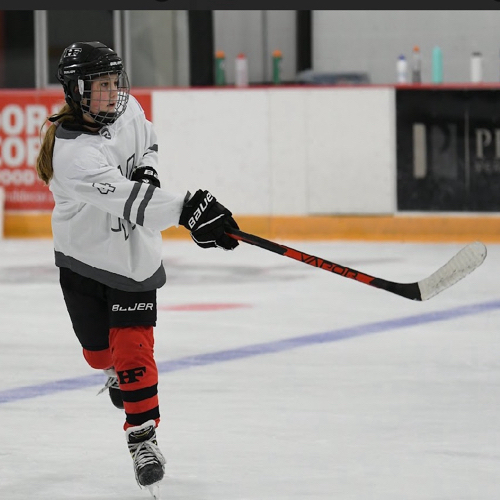 Sauk Prairie Youth Hockey Association 12U A Roster Sauk Monkeys