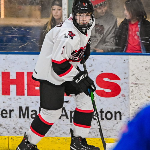 Fox Valley Blades Youth Hockey Bantam B Roster U10U14 Travel