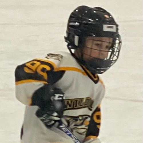 Wildcat Youth Hockey Association | Squirt A Roster | Youth Hockey ...