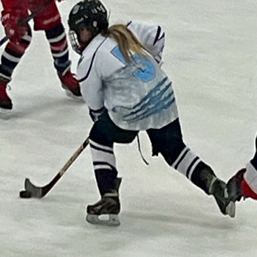 Hometown Hockey | U12 Blue Roster | AAA Hockey | 2026 AAA