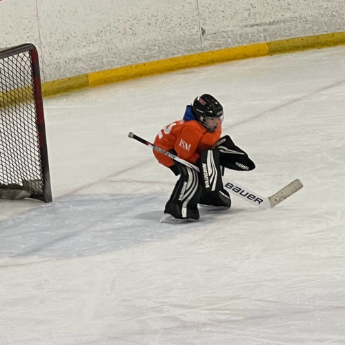 Champaign Urbana Youth Hockey Association 10U/12U Spring Skills
