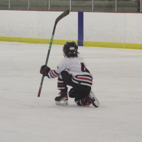 Appleton Area Hockey Association Mite Red Lightning Roster 6U and