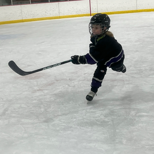 Mosinee Hockey Club Mite Red Roster Youth Hockey 20232024