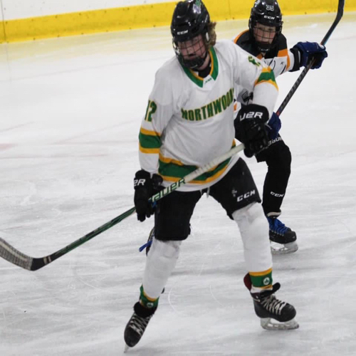 Mosinee Hockey Club Pee Wee B Roster Youth Hockey 20232024