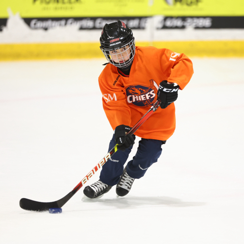 Champaign Urbana Youth Hockey Association 10U/12U Spring Skills