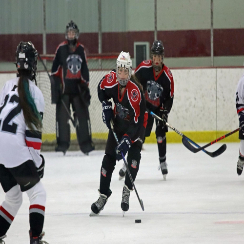 Beaver Dam Hockey Association 14U Wildfire Roster Regular Season