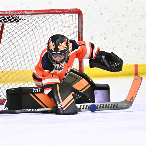 Hockey Club of St. Louis 2015 ChiTown Shuffle AAA Roster ChiTown